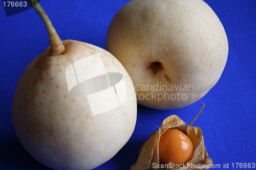 Image of Nashi pears and physalis