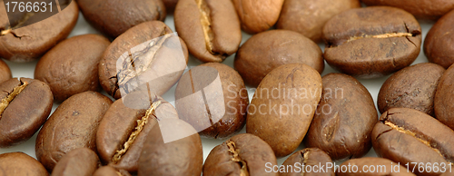 Image of Coffe beans background