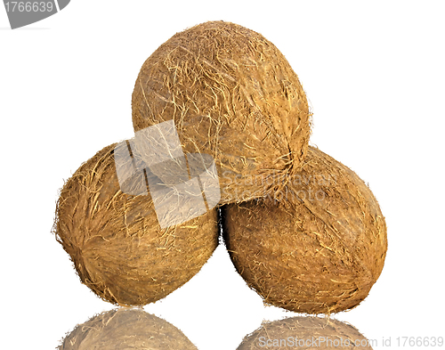 Image of coconut