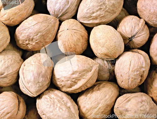 Image of Walnuts