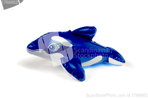 Image of blue and white toy dolphin