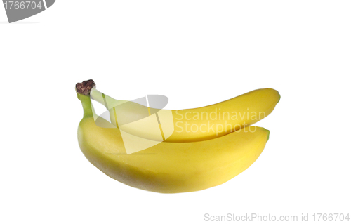 Image of Bunch of bananas isolated