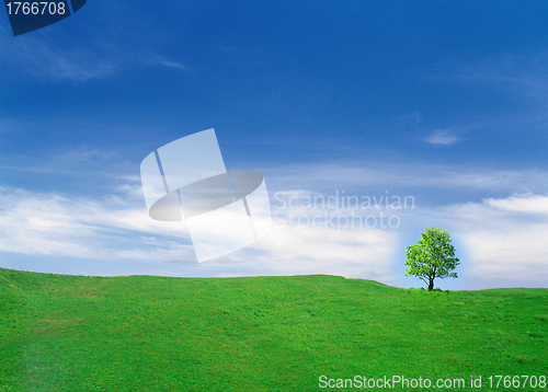 Image of Beautiful summer landscape.