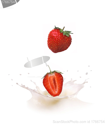 Image of Strawberry falls into milk causing splash and drops