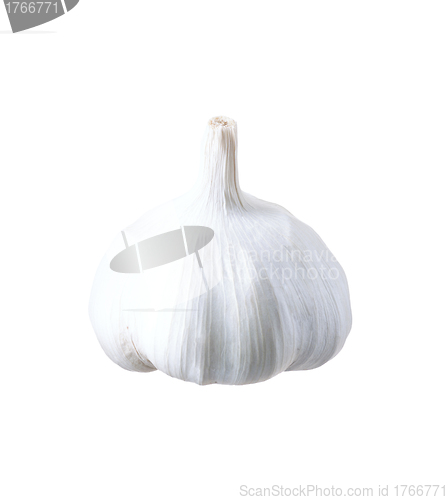 Image of Garlic isolated on white