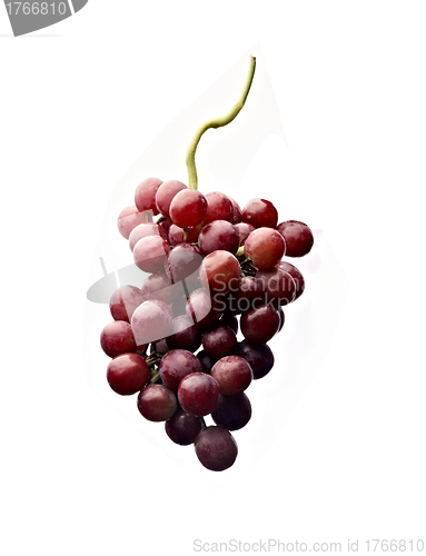 Image of Red grapes isolated