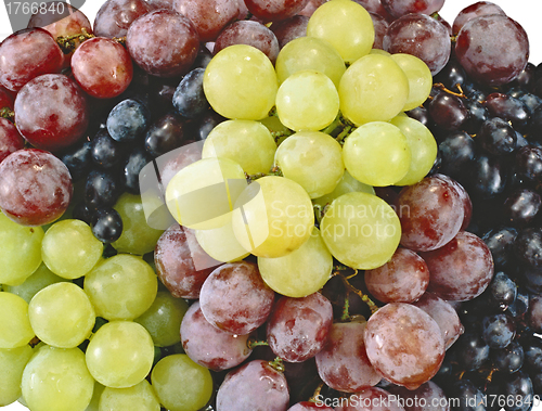 Image of Juicy grapes
