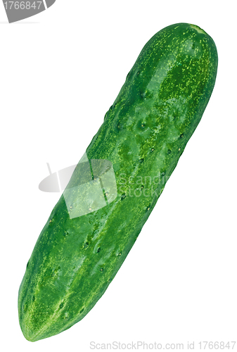 Image of Cucumber isolated on white background