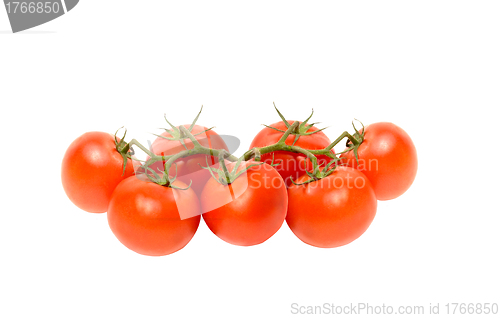 Image of Cherry tomatoes isolated on white