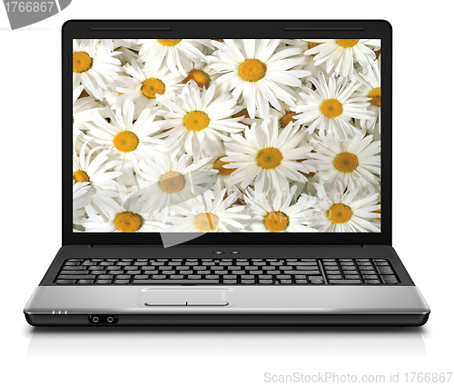 Image of Silver Laptop Computer Showing Search For Flowers On Internet