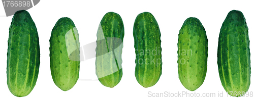 Image of Cucumber on White Background