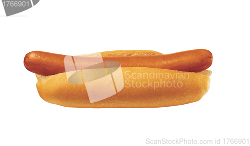 Image of hot dog with mustard isolated