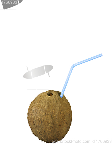 Image of coconut isolated on white