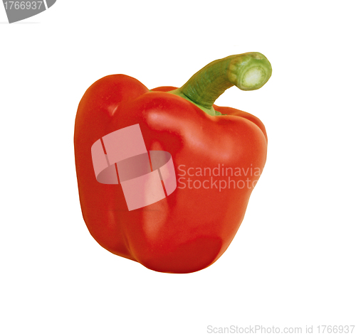 Image of pepper isolated on white background