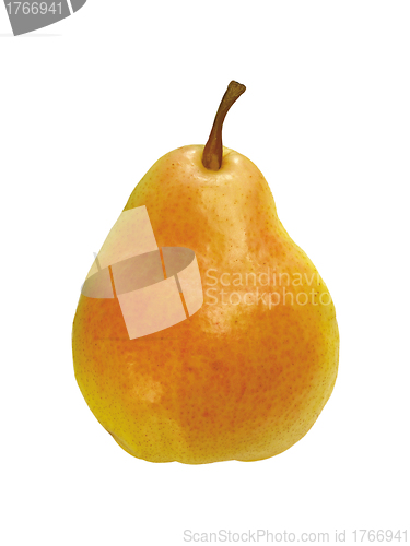 Image of fresh pear