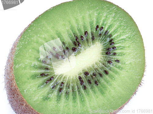 Image of Kiwi isolated