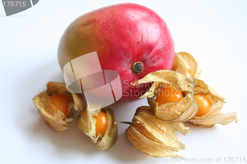 Image of Mango an d physalis