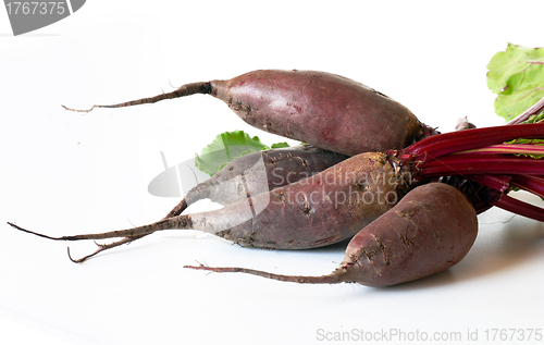 Image of Beet