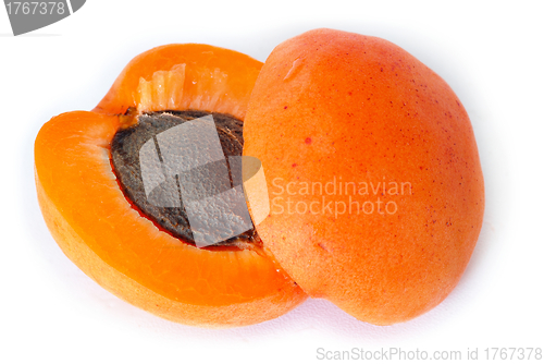 Image of Apricot