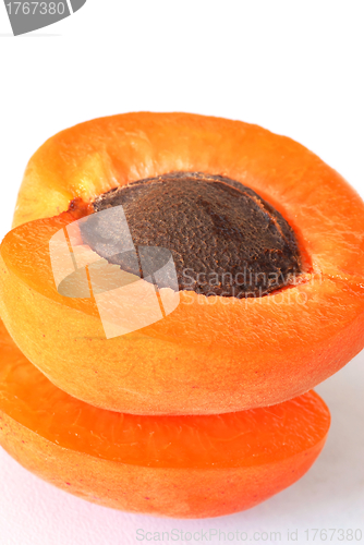 Image of Apricot