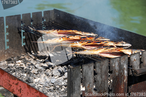 Image of Grilled fish on barbecue