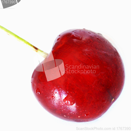 Image of Red cherry