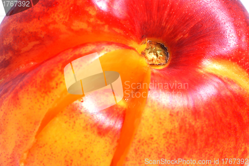 Image of Nectarine