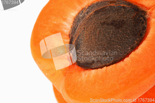 Image of Apricot