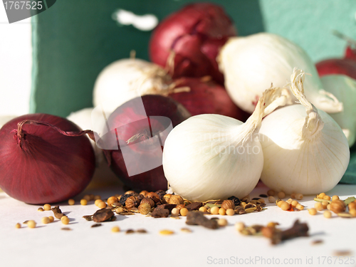 Image of Upclose onions and spice