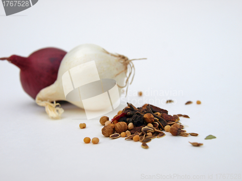 Image of Spices with red and white onion