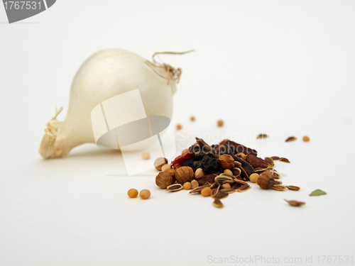 Image of White onion with pickling spices