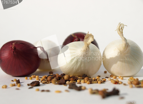 Image of Onions with spices
