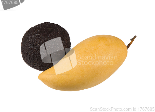 Image of Avocado and mango isolated on white