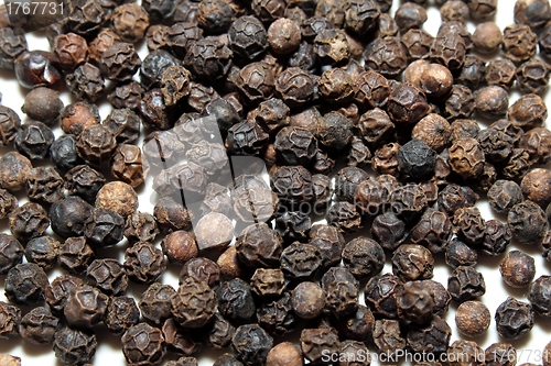 Image of pepper corns isolated