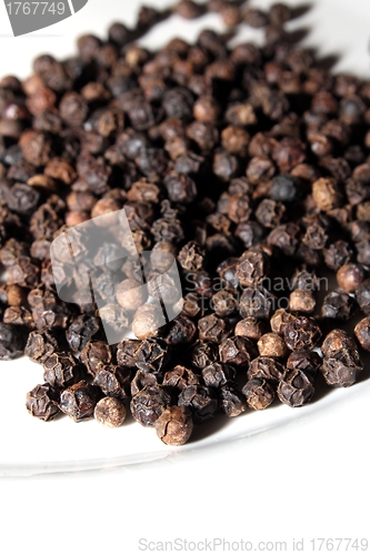 Image of pepper corns isolated