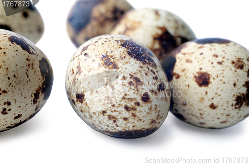 Image of Quail eggs closeup isolated on white