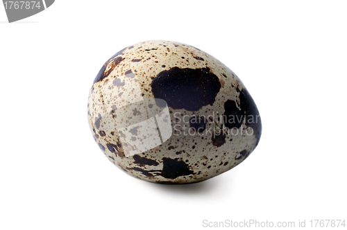 Image of Quail eggs isolated on a white background