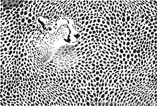 Image of Pattern cheetahs background