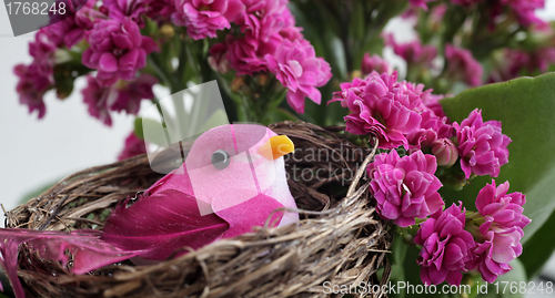 Image of Pink bird 