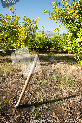 Image of Traditional agriculture