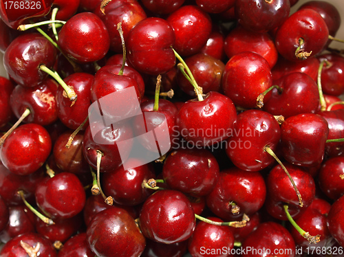 Image of Cherry