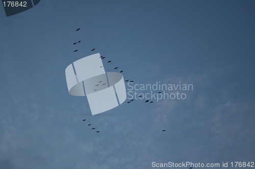 Image of flying away