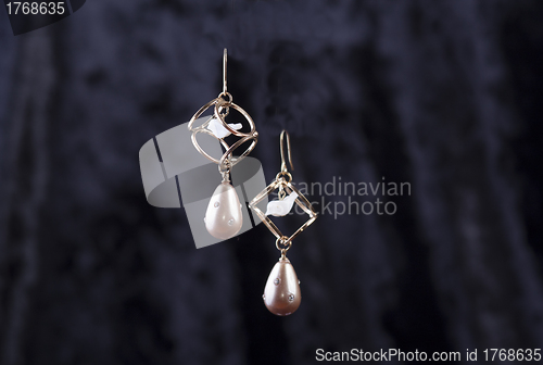 Image of beige earrings with rings and dove