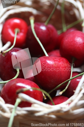 Image of cherries in a bag