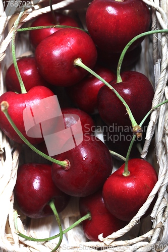 Image of cherries in a bag