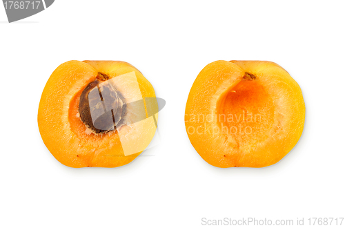 Image of Apricot