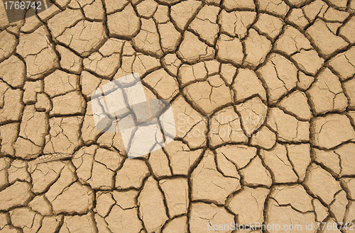 Image of Cracked earth