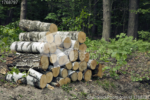Image of Wood stack 