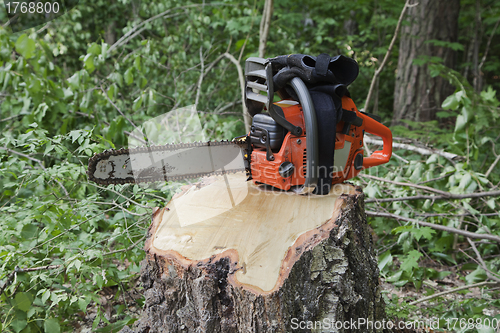 Image of Chainsaw on a stump