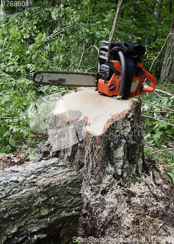 Image of Chainsaw on a stump